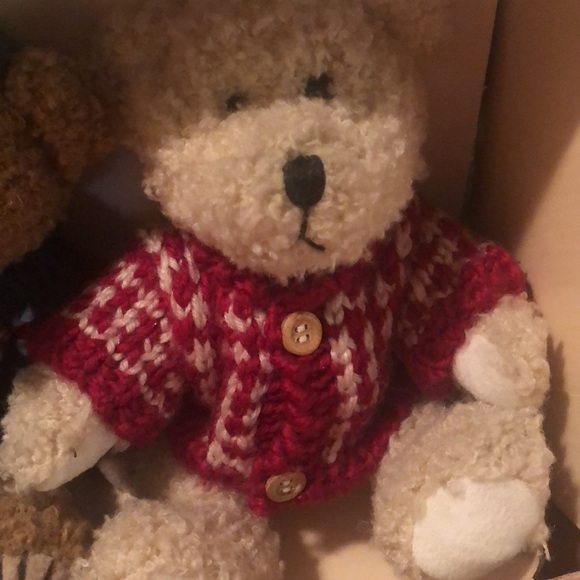 Teddy Bear Collection - Picture 14 of 14